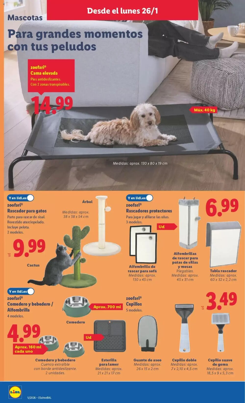 Folleto promocional de Lidl válido desde el 26/01/2026 - Página 10.