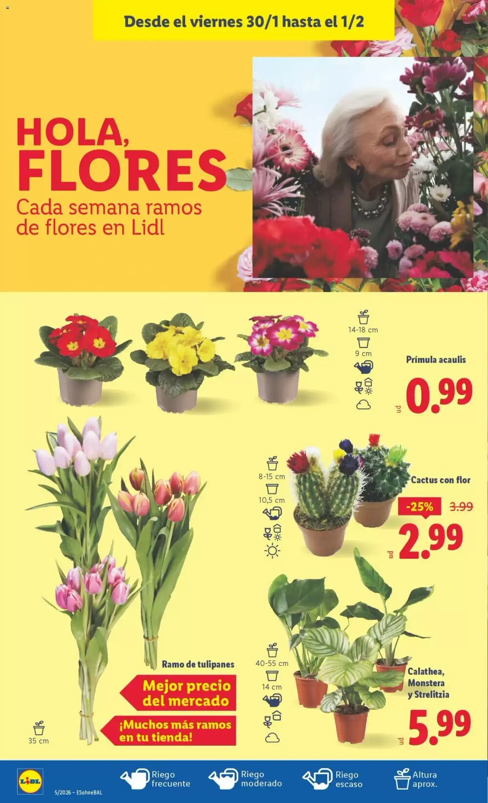 Folleto promocional de Lidl válido desde el 26/01/2026 - Página 40.