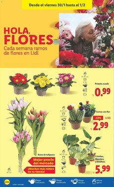 Folleto promocional de Lidl válido desde el 26/01/2026 - Página 40.
