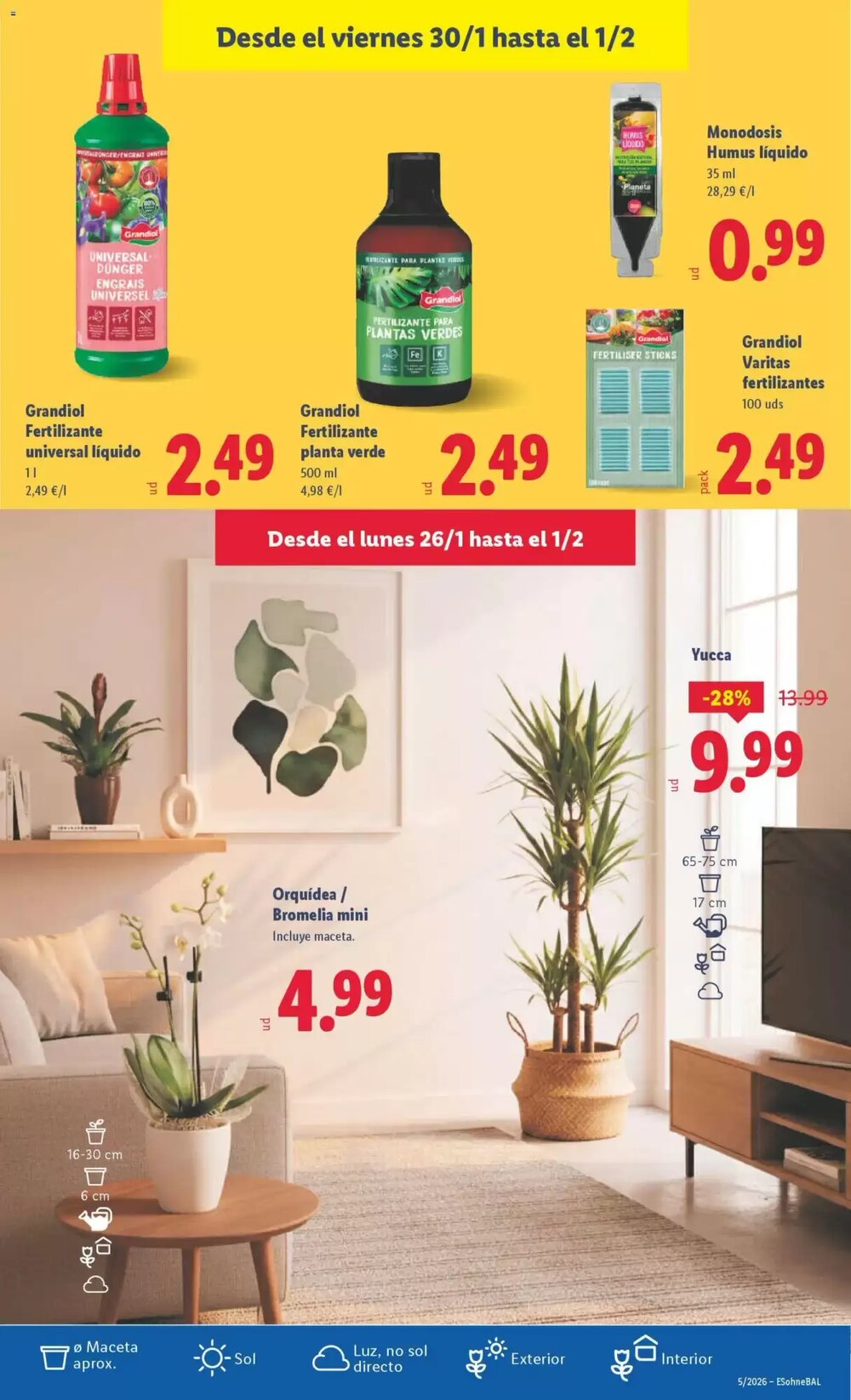 Folleto promocional de Lidl válido desde el 26/01/2026 - Página 41.