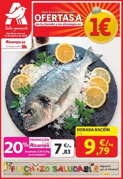 Folleto promocional de Alcampo válido desde el 29/01/2026