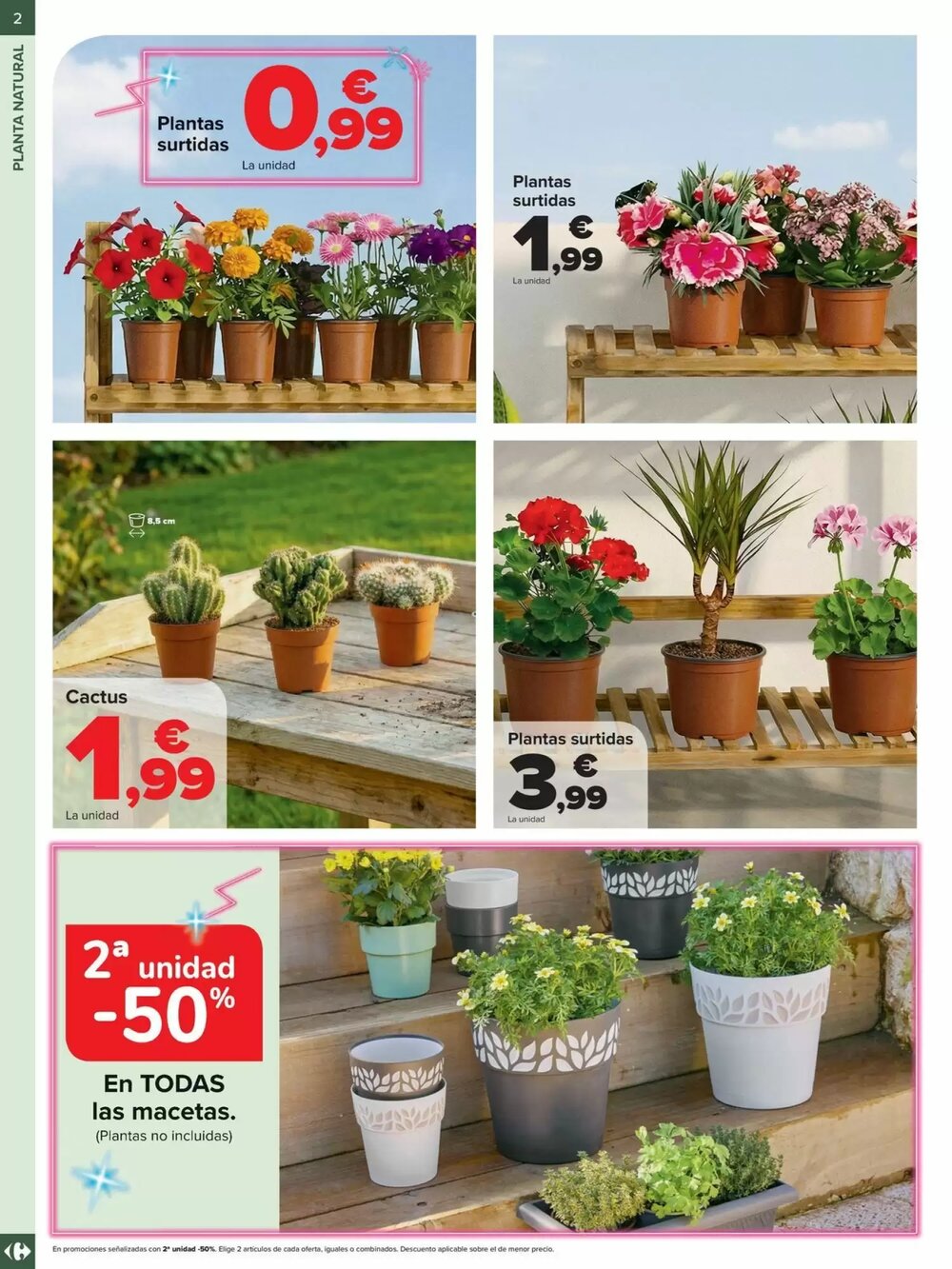 Folleto promocional de Carrefour válido desde el 19/02/2026 - Página 2.