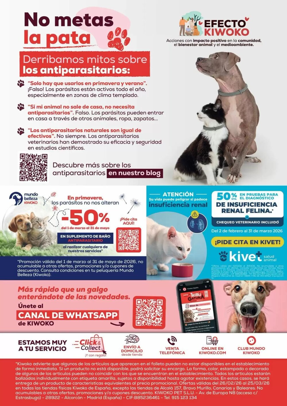 Folleto promocional de Kiwoko válido desde el 26/02/2026 - Página 16.