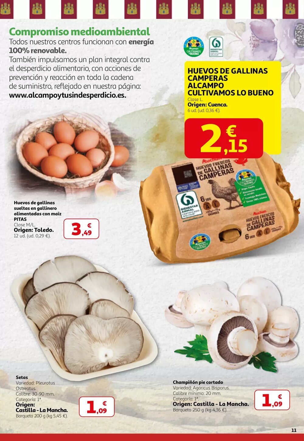 Folleto promocional de Alcampo válido desde el 26/02/2026 - Página 11.