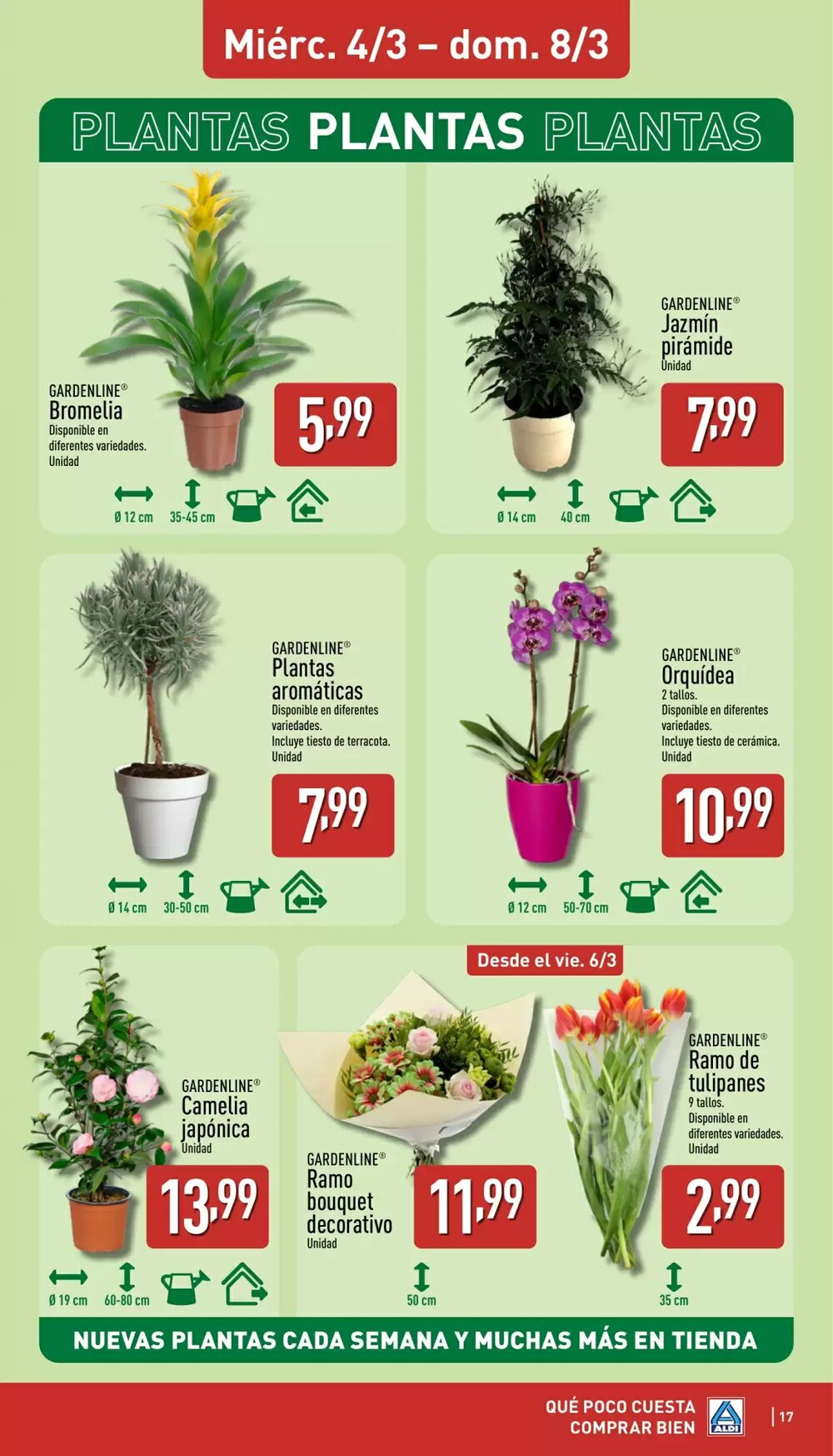 Folleto promocional de ALDI válido desde el 02/03/2026 - Página 17.