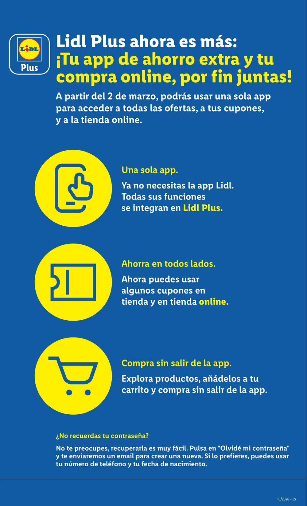 Folleto promocional de Lidl válido desde el 02/03/2026 - Página 31.