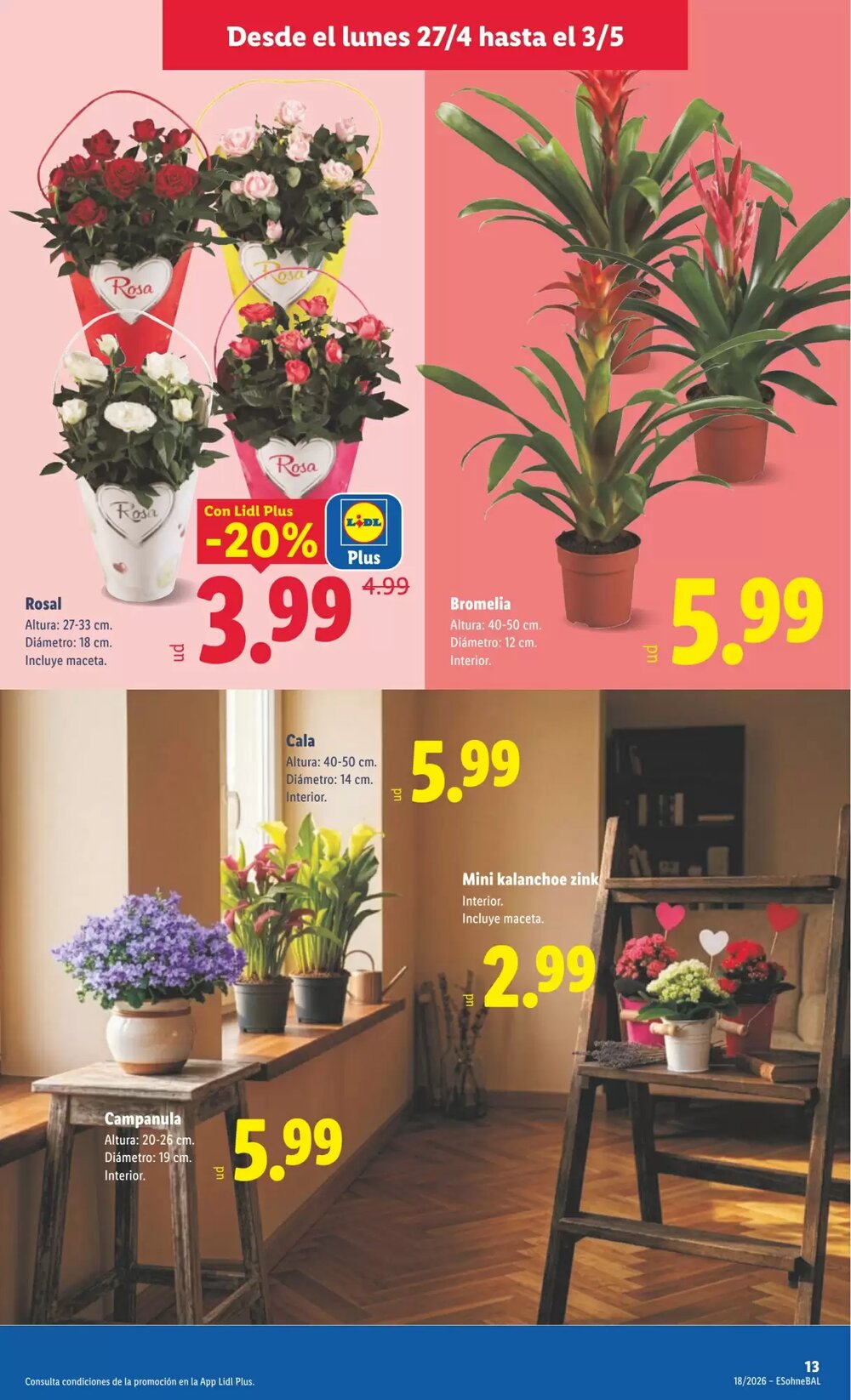 Folleto promocional de Lidl válido desde el 27/04/2026 - Página 45.