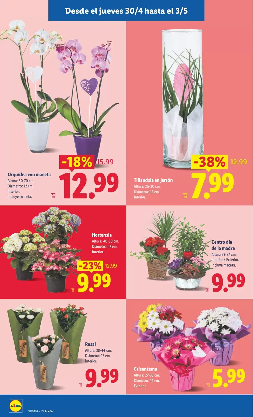 Folleto promocional de Lidl válido desde el 27/04/2026 - Página 46.