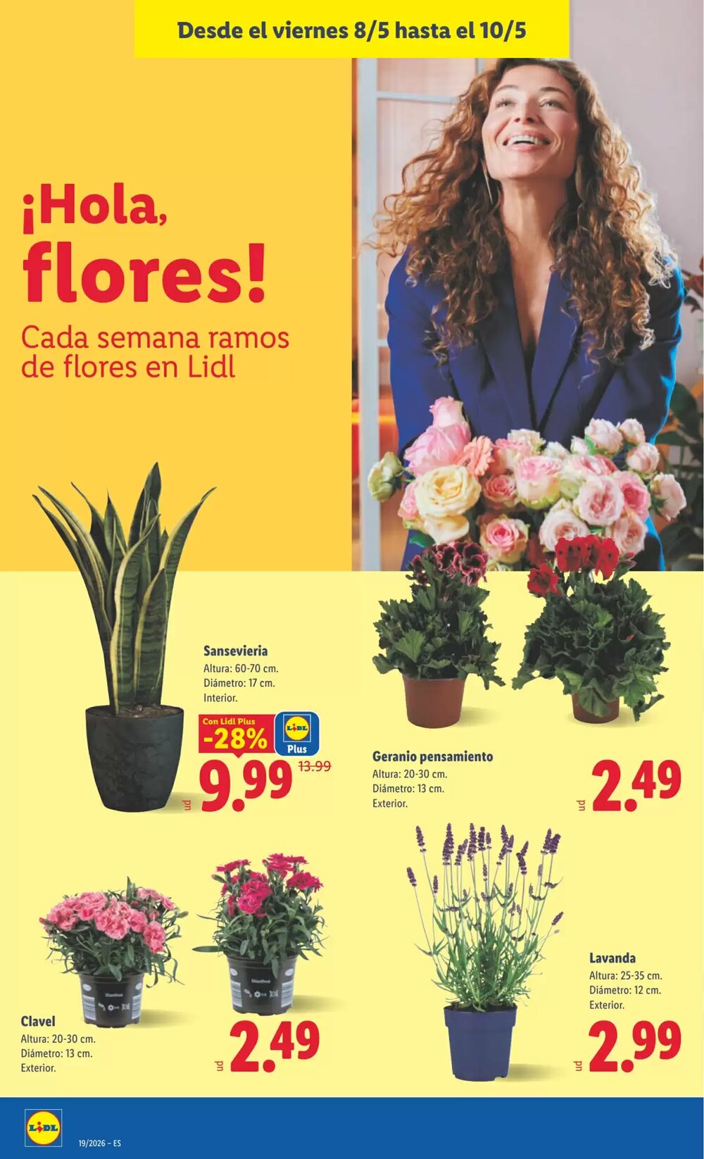 Folleto promocional de Lidl válido desde el 04/05/2026 - Página 50.