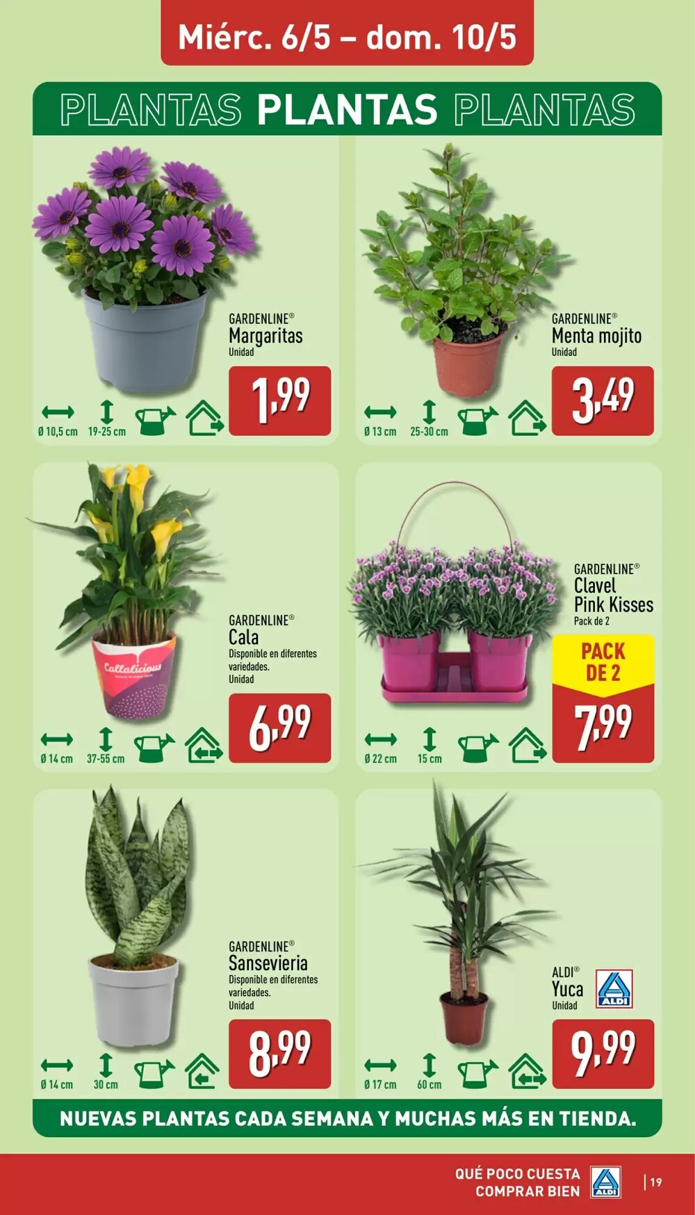 Folleto promocional de ALDI válido desde el 04/05/2026 - Página 19.