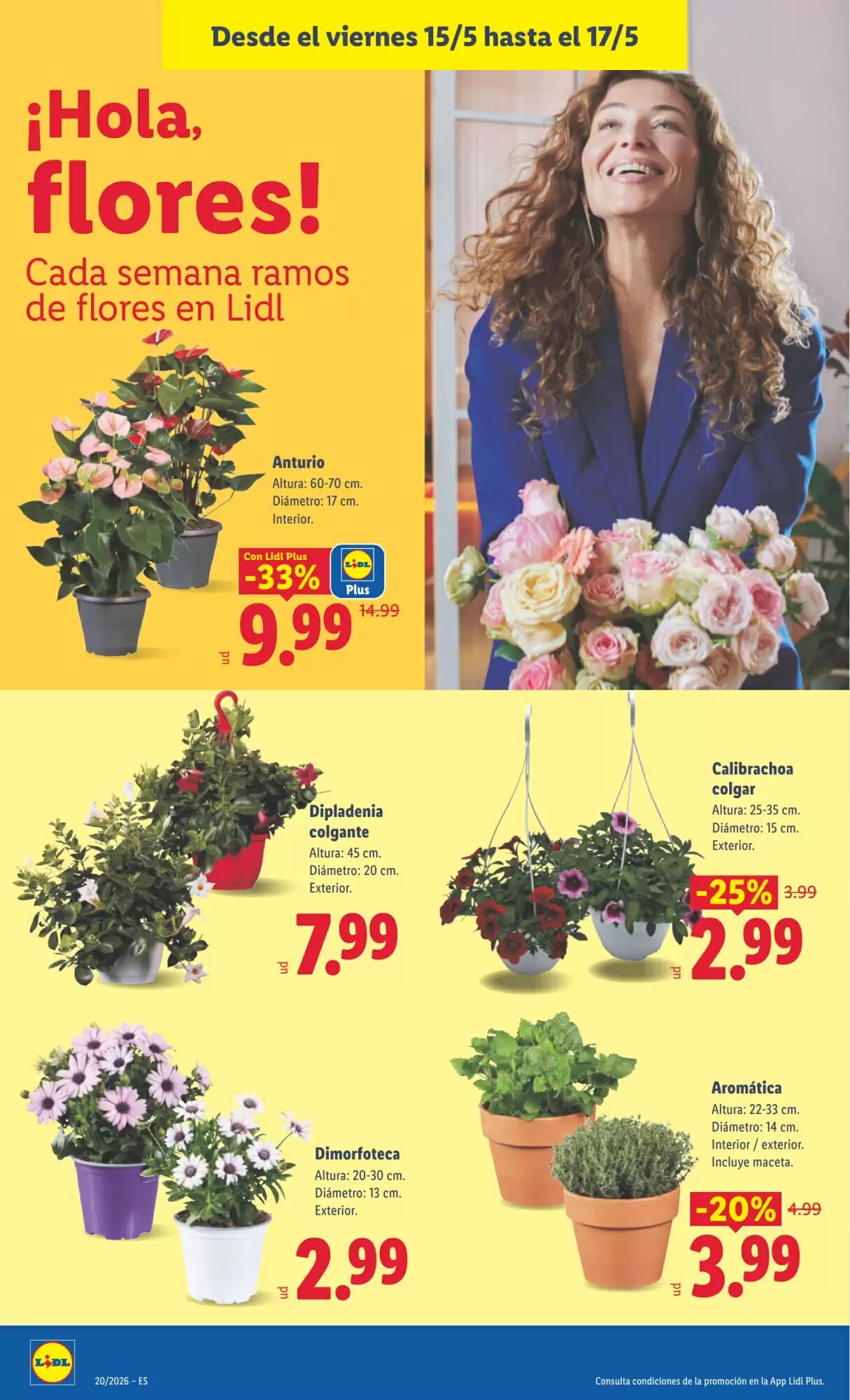Folleto promocional de Lidl válido desde el 11/05/2026 - Página 40.