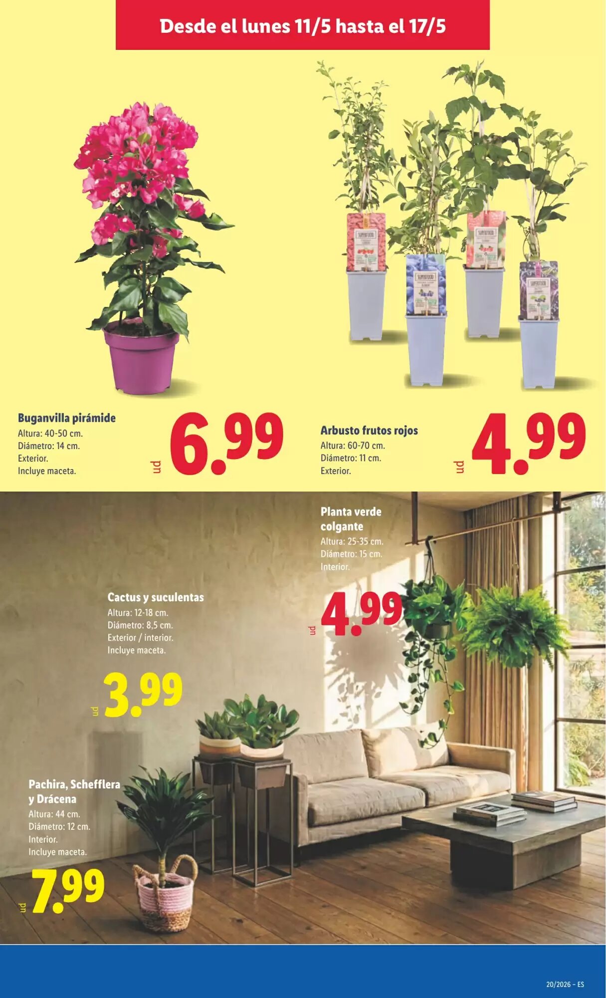 Folleto promocional de Lidl válido desde el 11/05/2026 - Página 41.