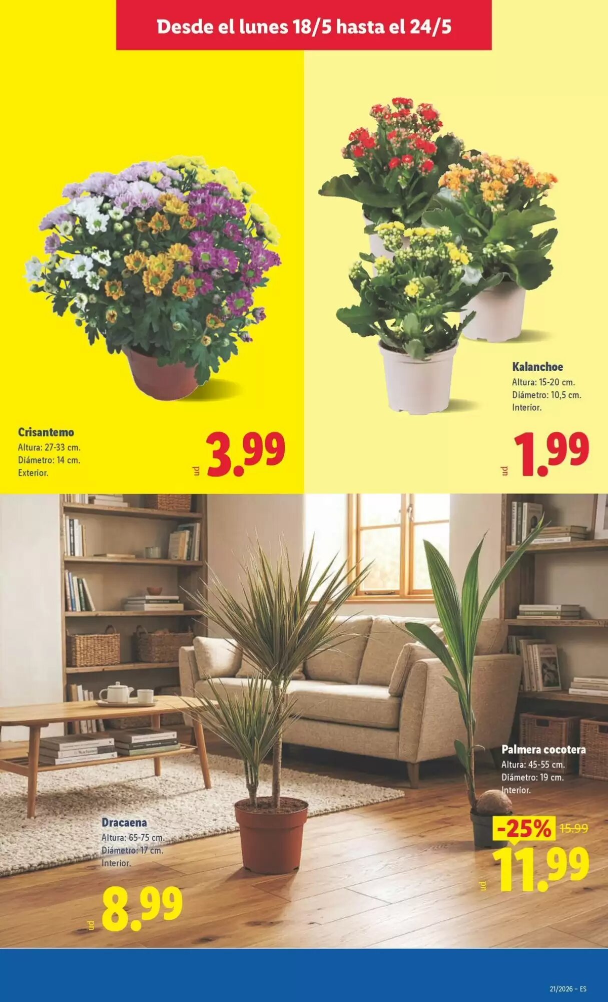 Folleto promocional de Lidl válido desde el 18/05/2026 - Página 49.