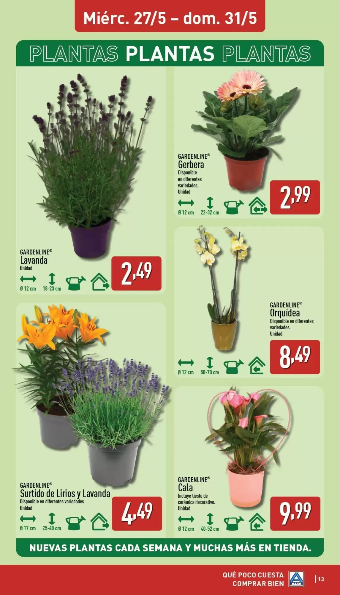 Folleto promocional de ALDI válido desde el 25/05/2026 - Página 13.