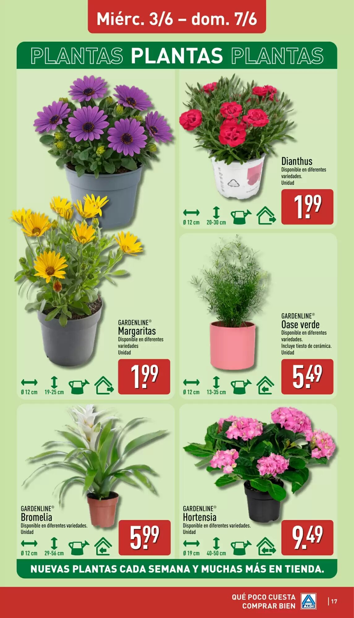 Folleto promocional de ALDI válido desde el 01/06/2026 - Página 17.