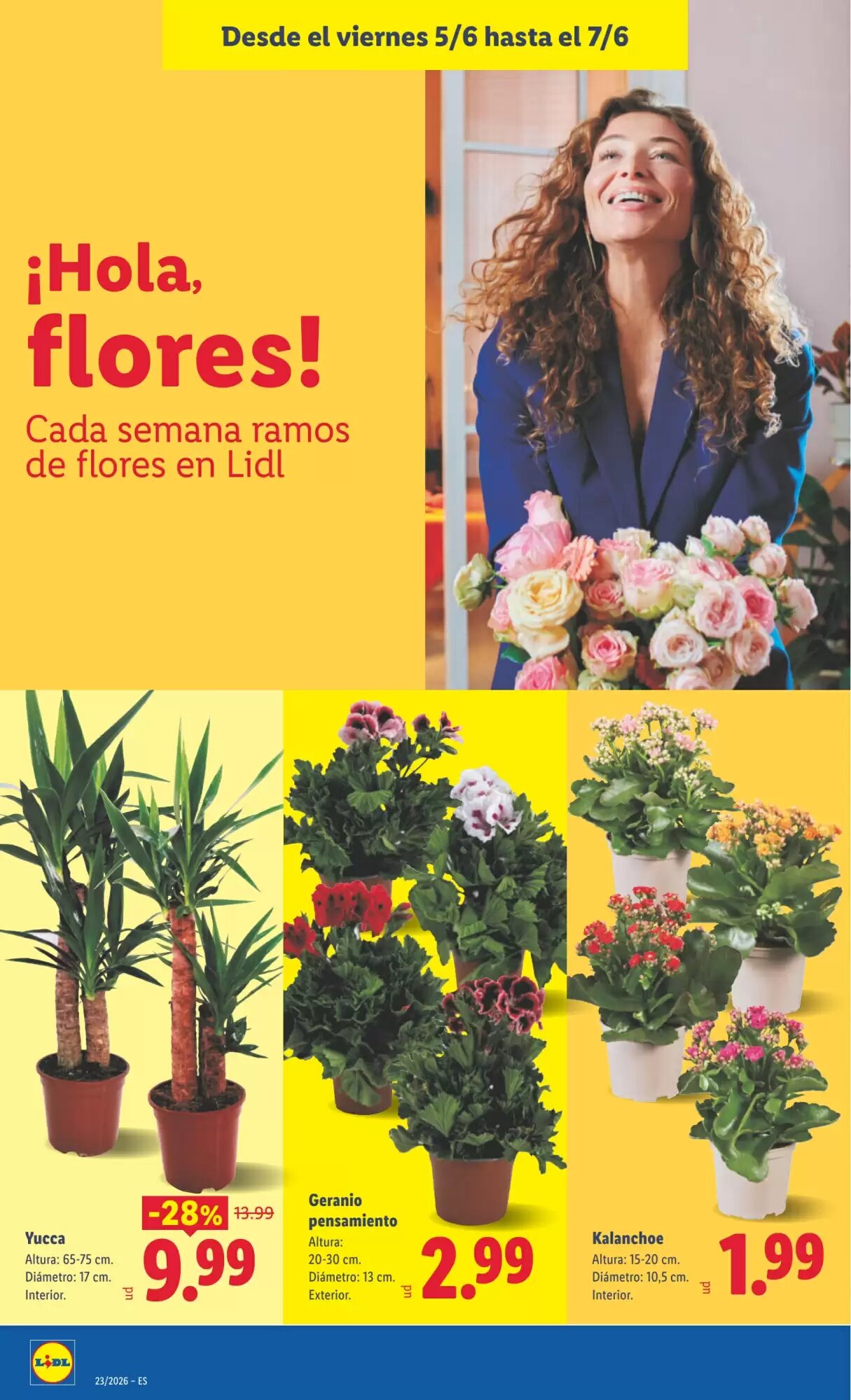 Folleto promocional de Lidl válido desde el 01/06/2026 - Página 42.