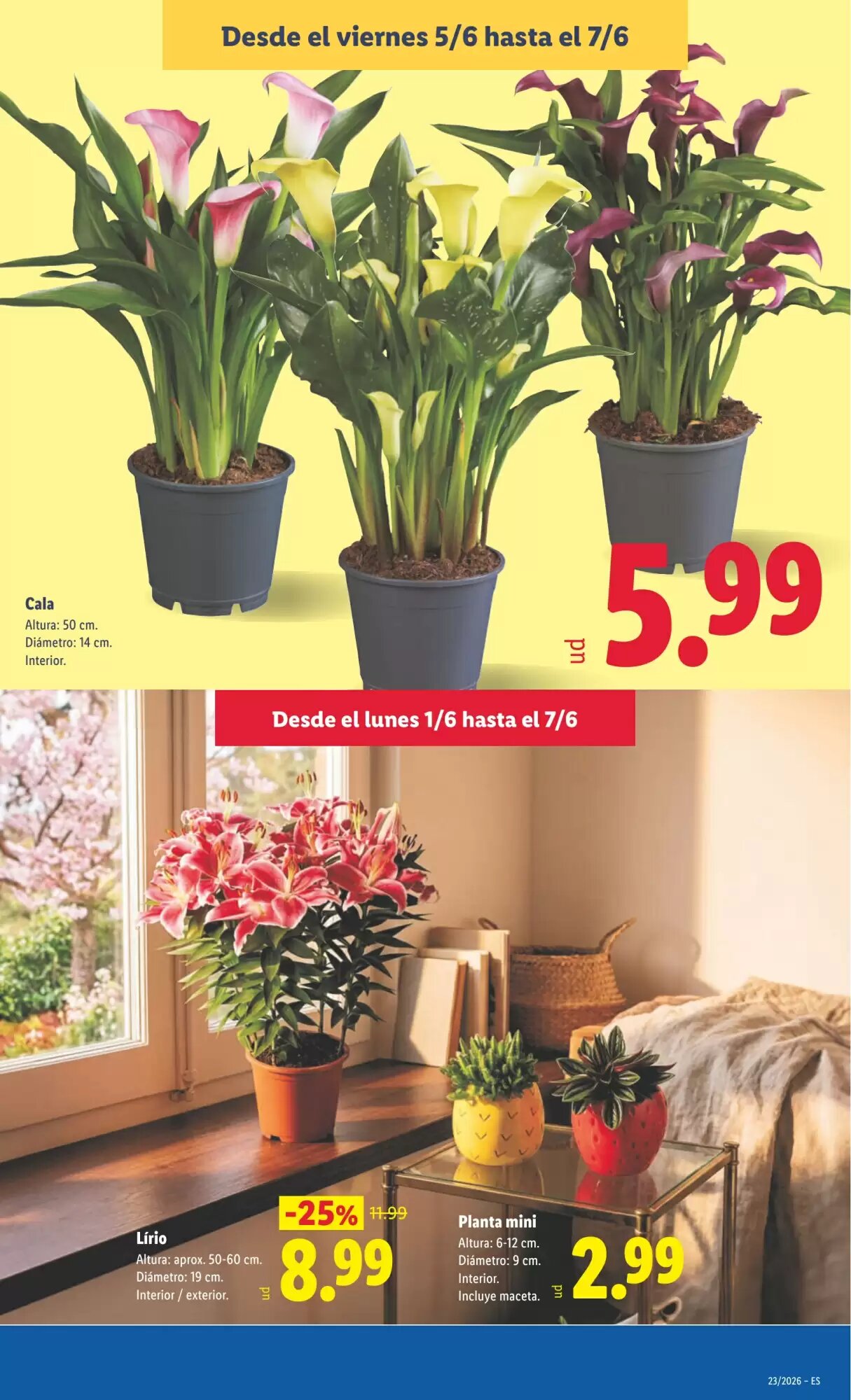 Folleto promocional de Lidl válido desde el 01/06/2026 - Página 43.