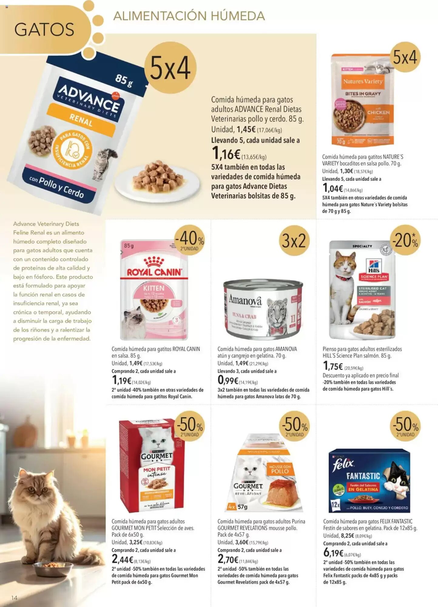 Folleto promocional de El Corte Inglés válido desde el 01/06/2026 - Página 14.