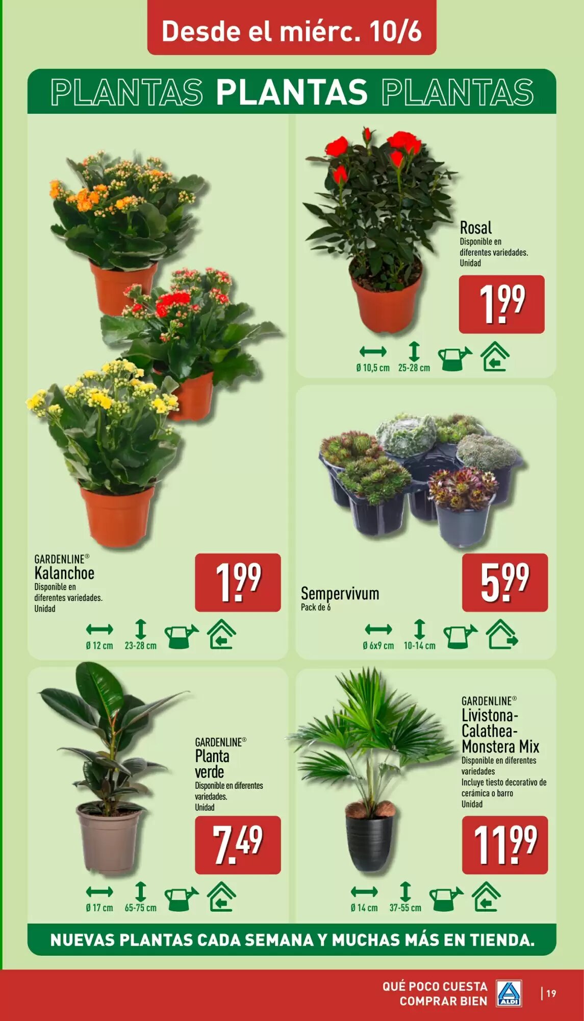 Folleto promocional de ALDI válido desde el 08/06/2026 - Página 19.