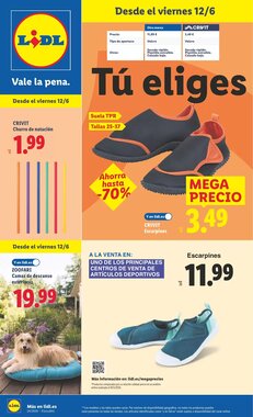 Folleto promocional de Lidl válido desde el 08/06/2026