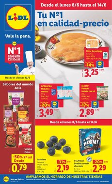 Folleto promocional de Lidl válido desde el 08/06/2026