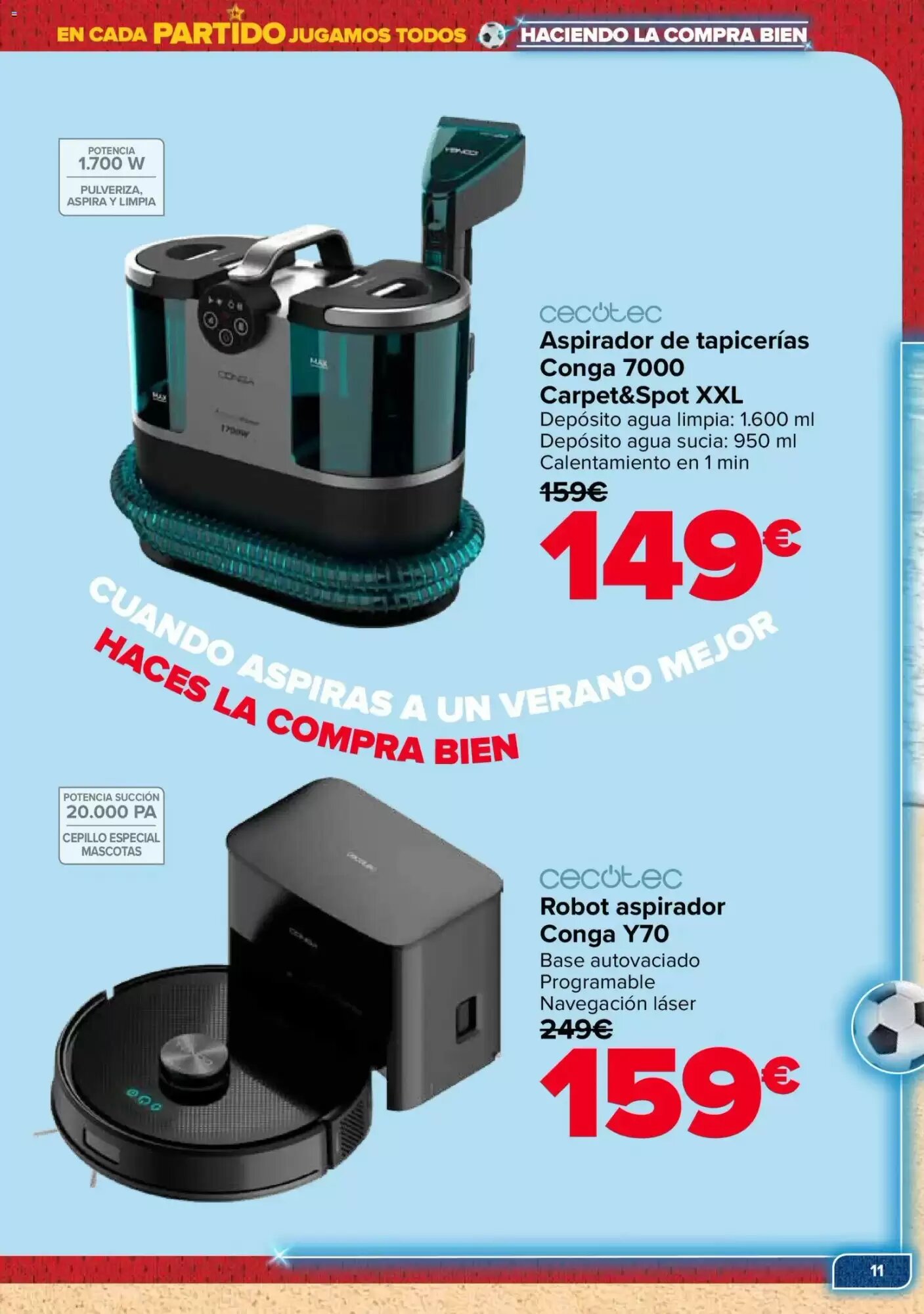 Folleto promocional de Carrefour válido desde el 09/06/2026 - Página 11.