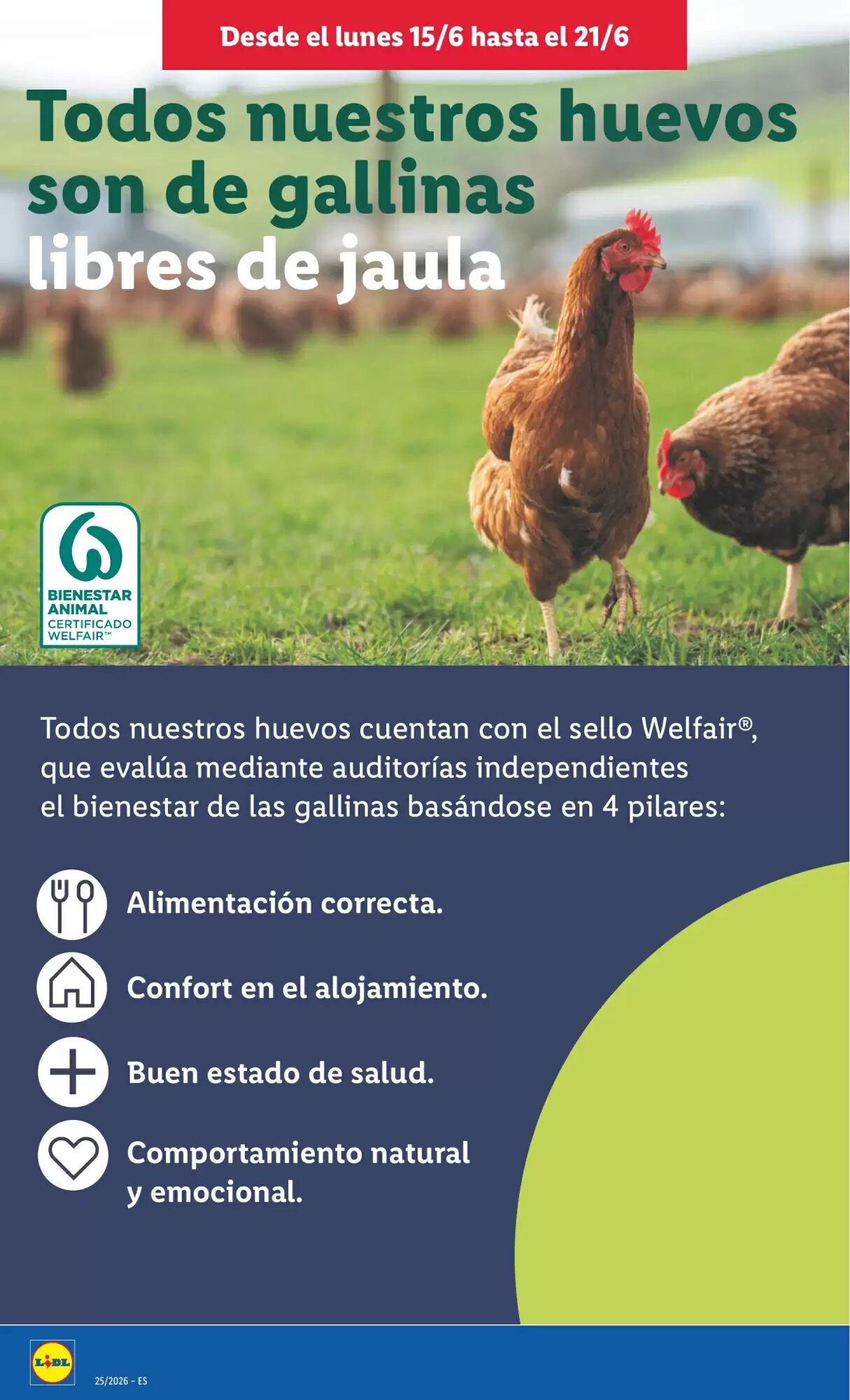 Folleto promocional de Lidl válido desde el 15/06/2026 - Página 18.