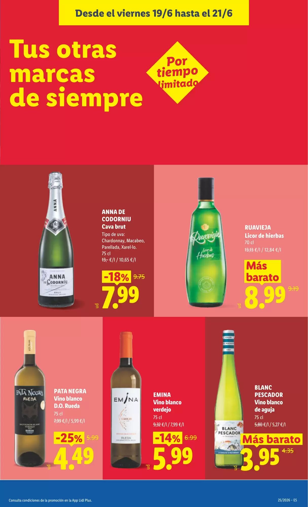Folleto promocional de Lidl válido desde el 15/06/2026 - Página 49.