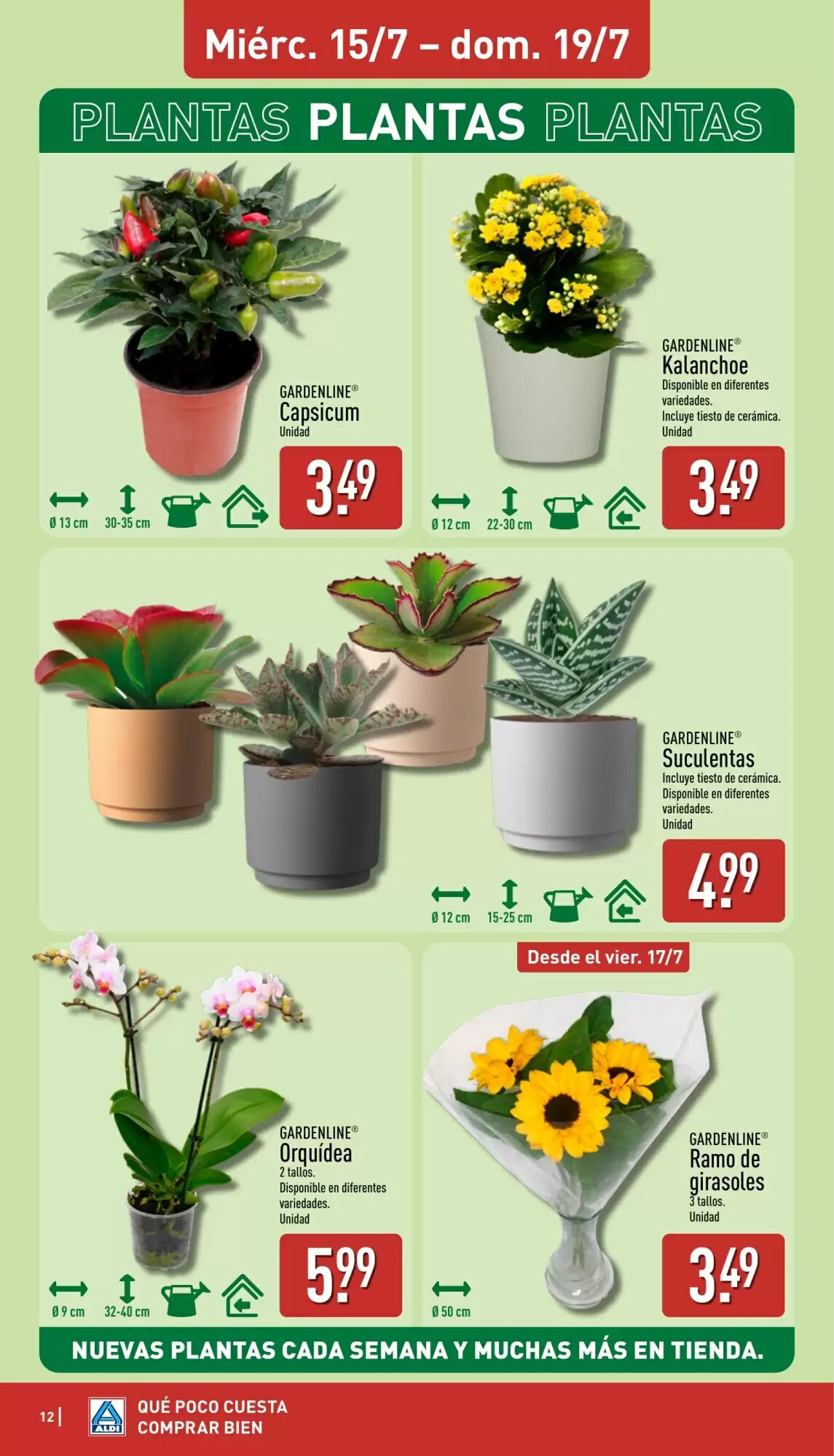 Folleto promocional de ALDI válido desde el 13/07/2026 - Página 12.