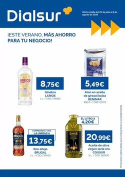 Folleto promocional de Dia válido desde el 20/07/2026