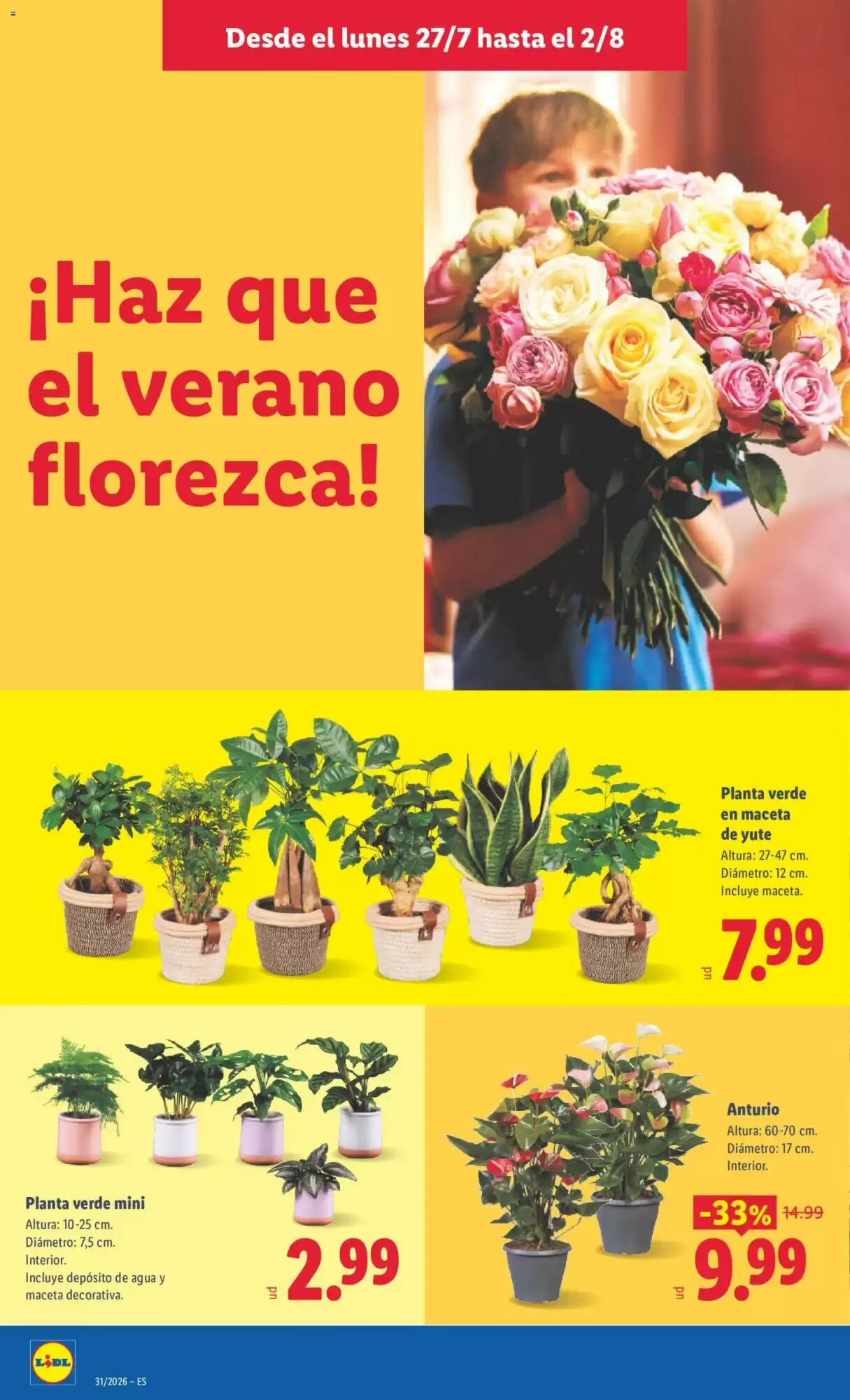Folleto promocional de Lidl válido desde el 27/07/2026 - Página 42.