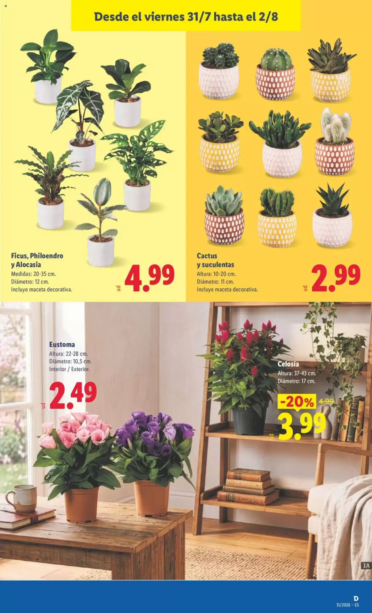 Folleto promocional de Lidl válido desde el 27/07/2026 - Página 43.