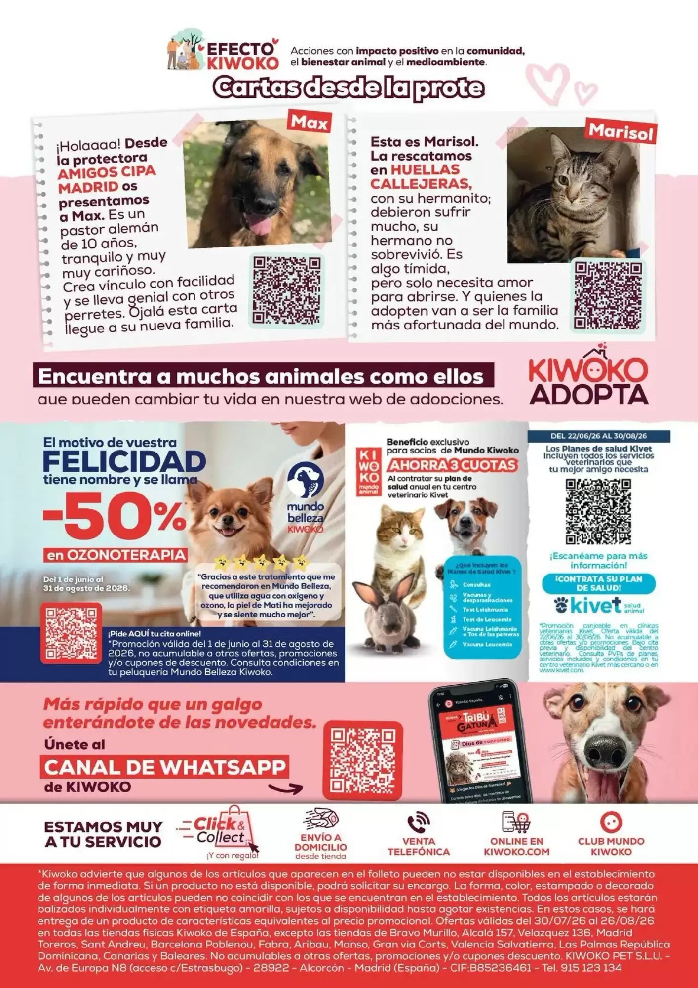 Folleto promocional de Kiwoko válido desde el 30/07/2026 - Página 16.