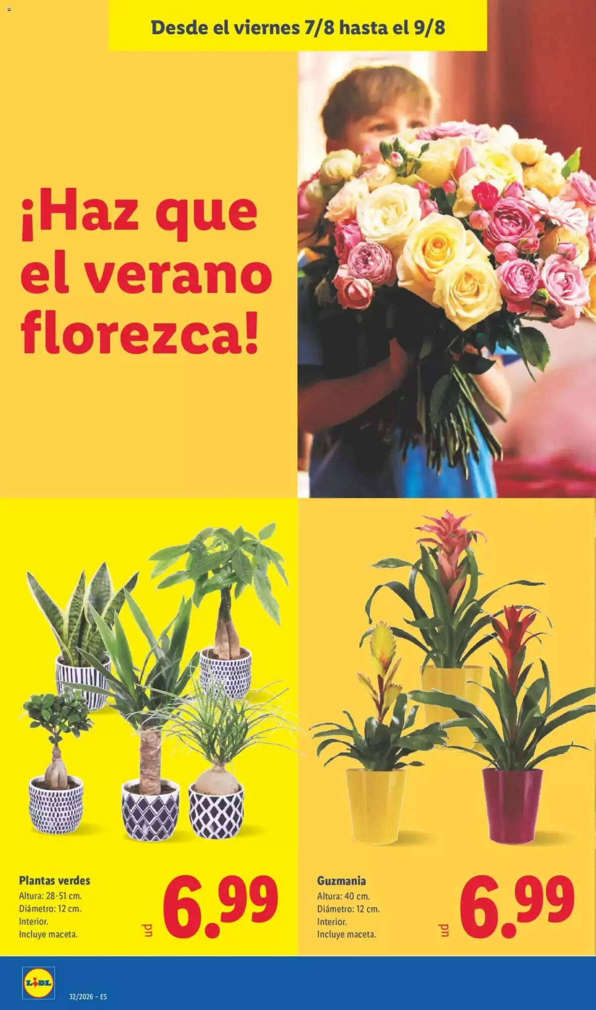 Folleto promocional de Lidl válido desde el 03/08/2026 - Página 58.
