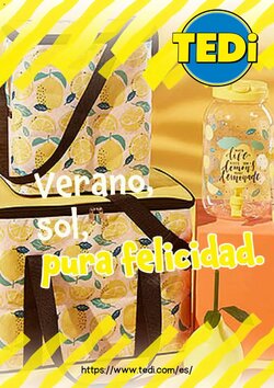 Folleto promocional de TEDi válido desde el 04/08/2026