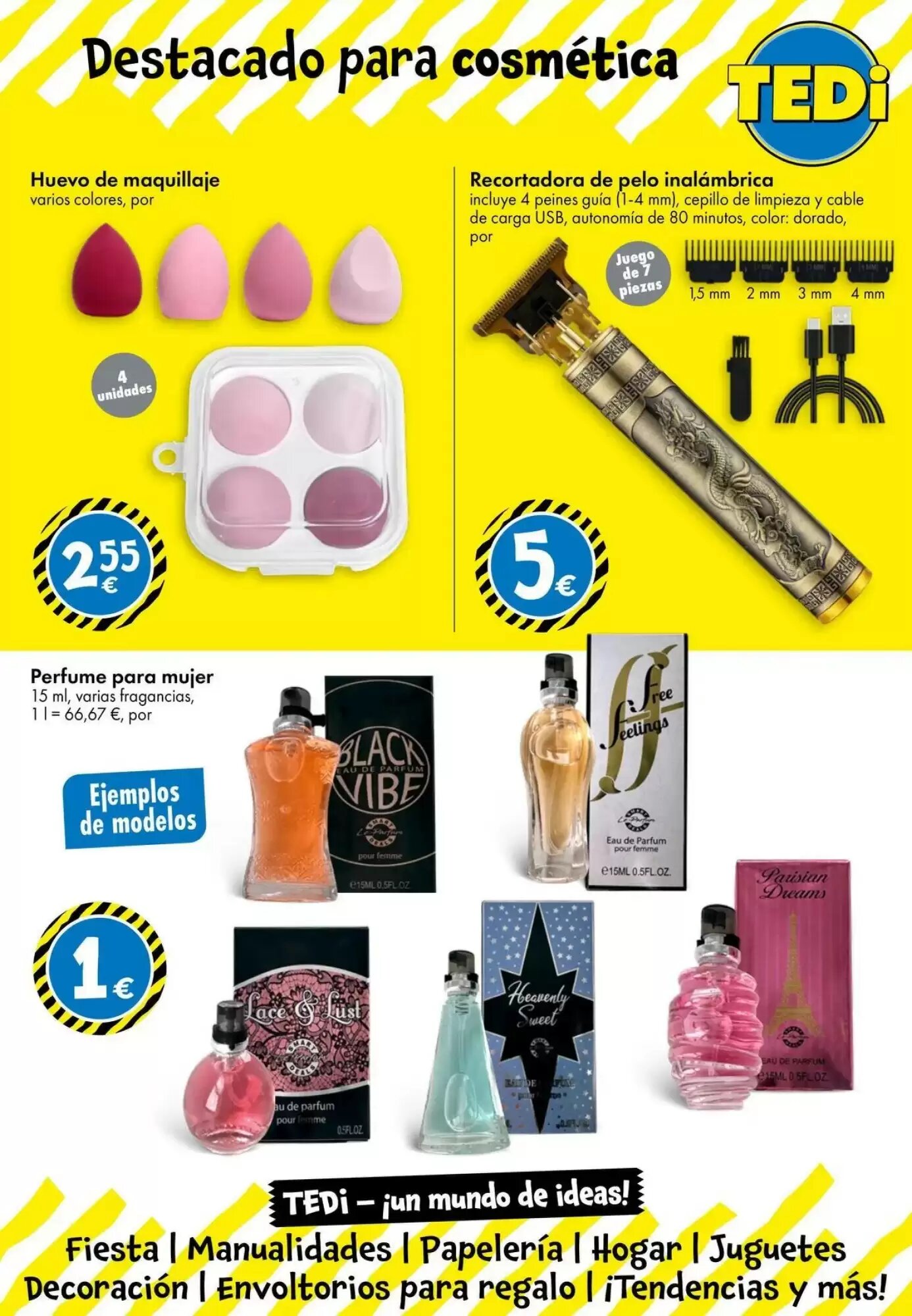 Folleto promocional de TEDi válido desde el 05/08/2026 - Página 13.