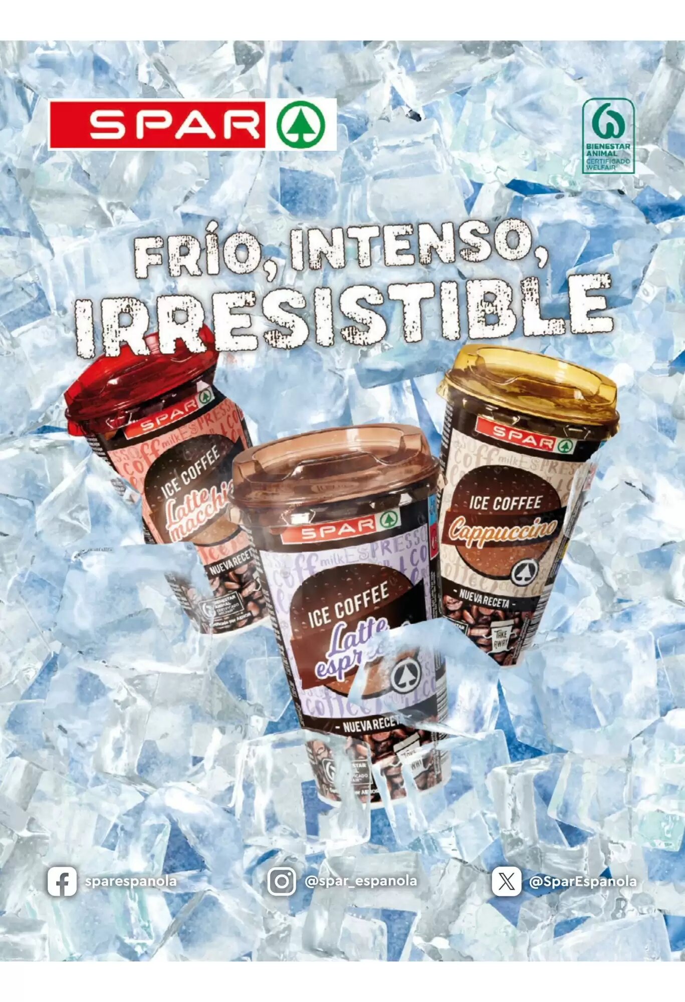 Folleto promocional de SPAR Gran Canaria válido desde el 07/08/2026 - Página 8.