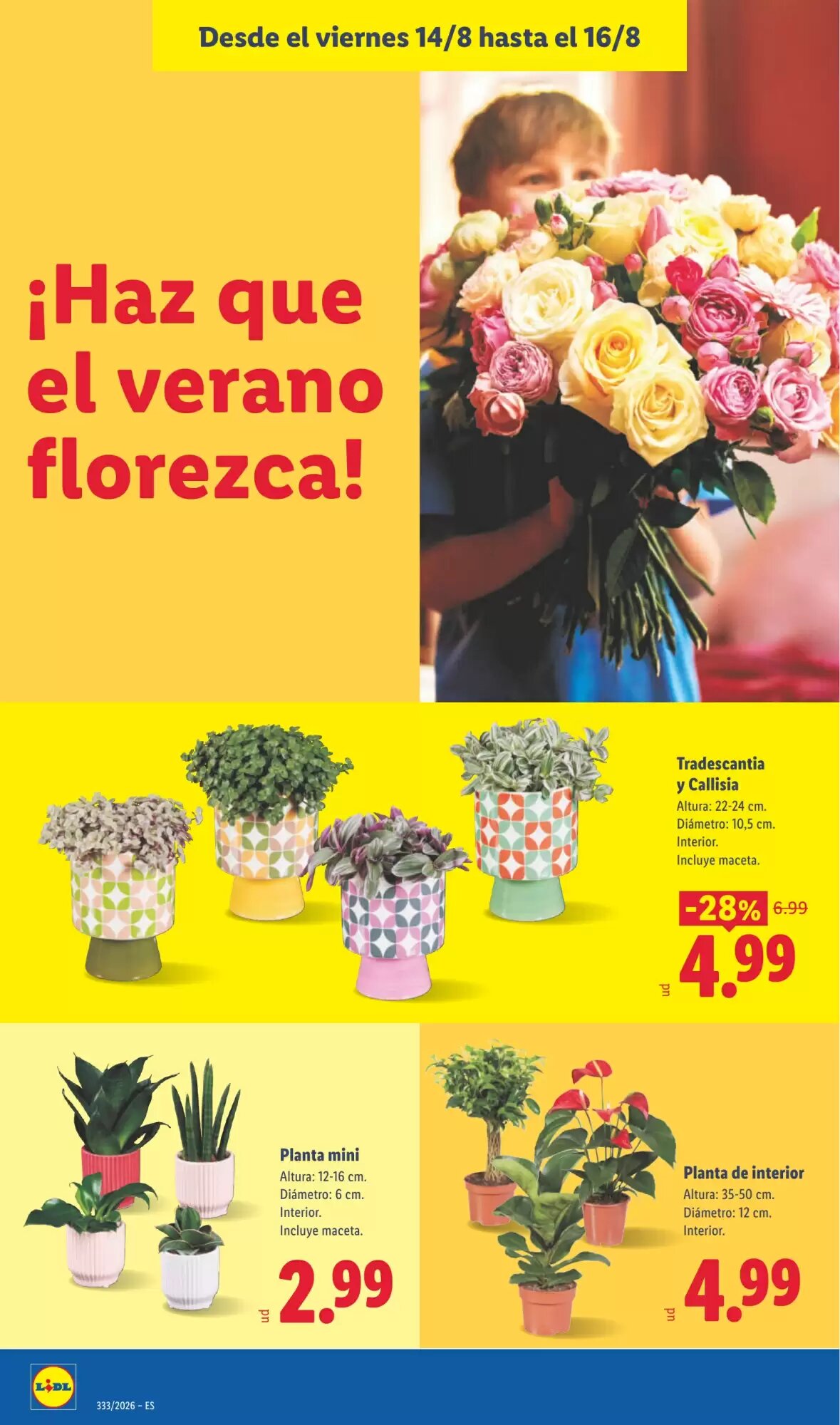 Folleto promocional de Lidl válido desde el 10/08/2026 - Página 56.