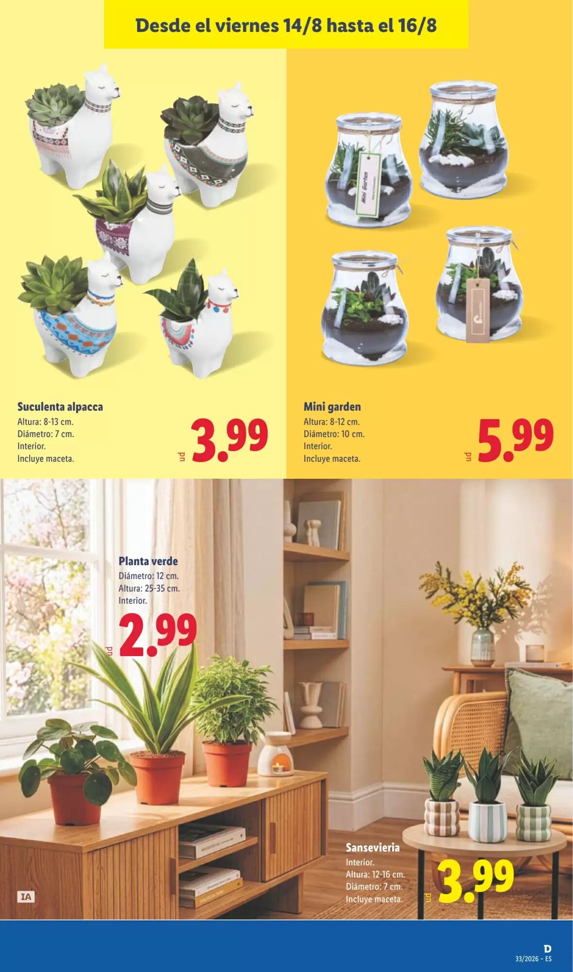 Folleto promocional de Lidl válido desde el 10/08/2026 - Página 57.