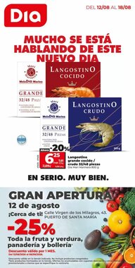 Folleto promocional de Dia válido desde el 12/08/2026