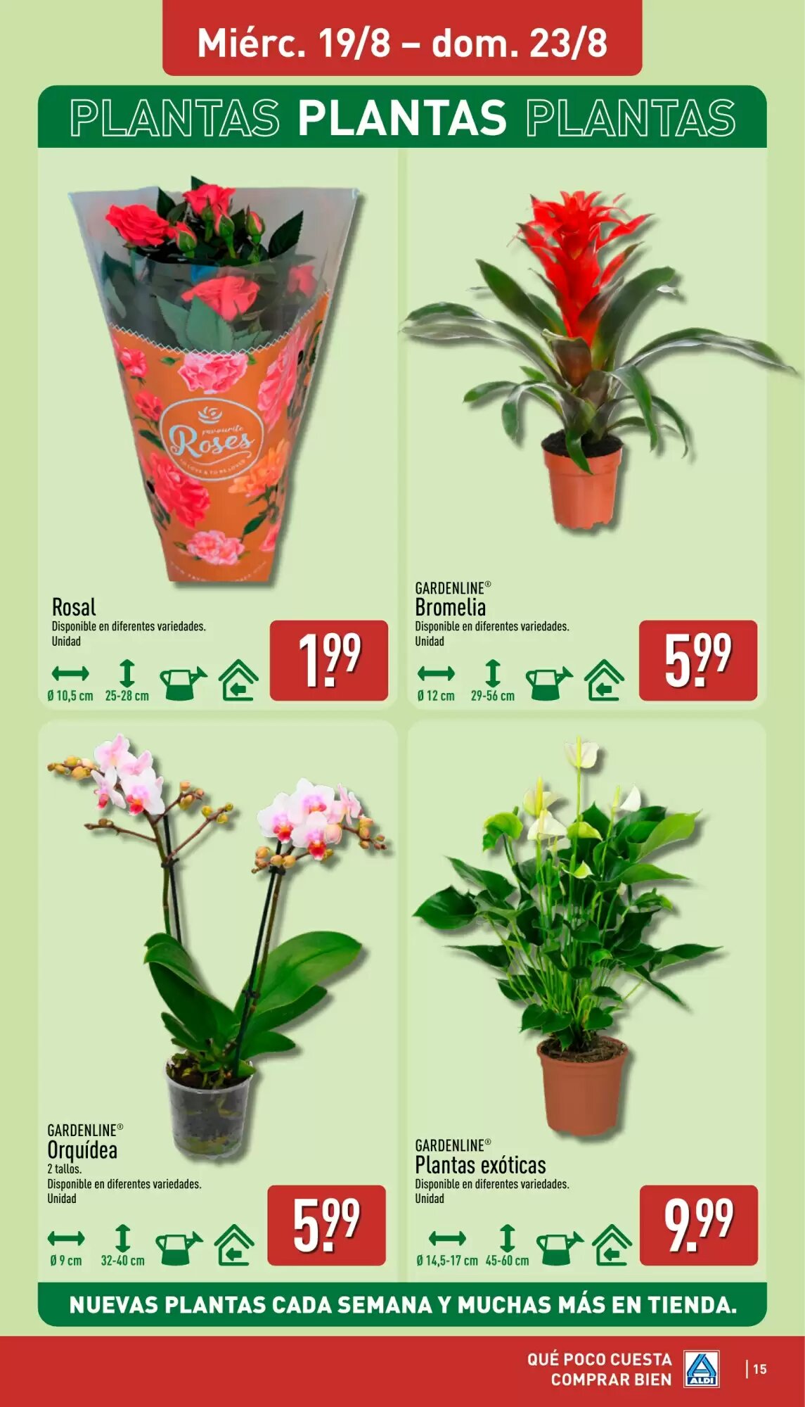 Folleto promocional de ALDI válido desde el 17/08/2026 - Página 15.