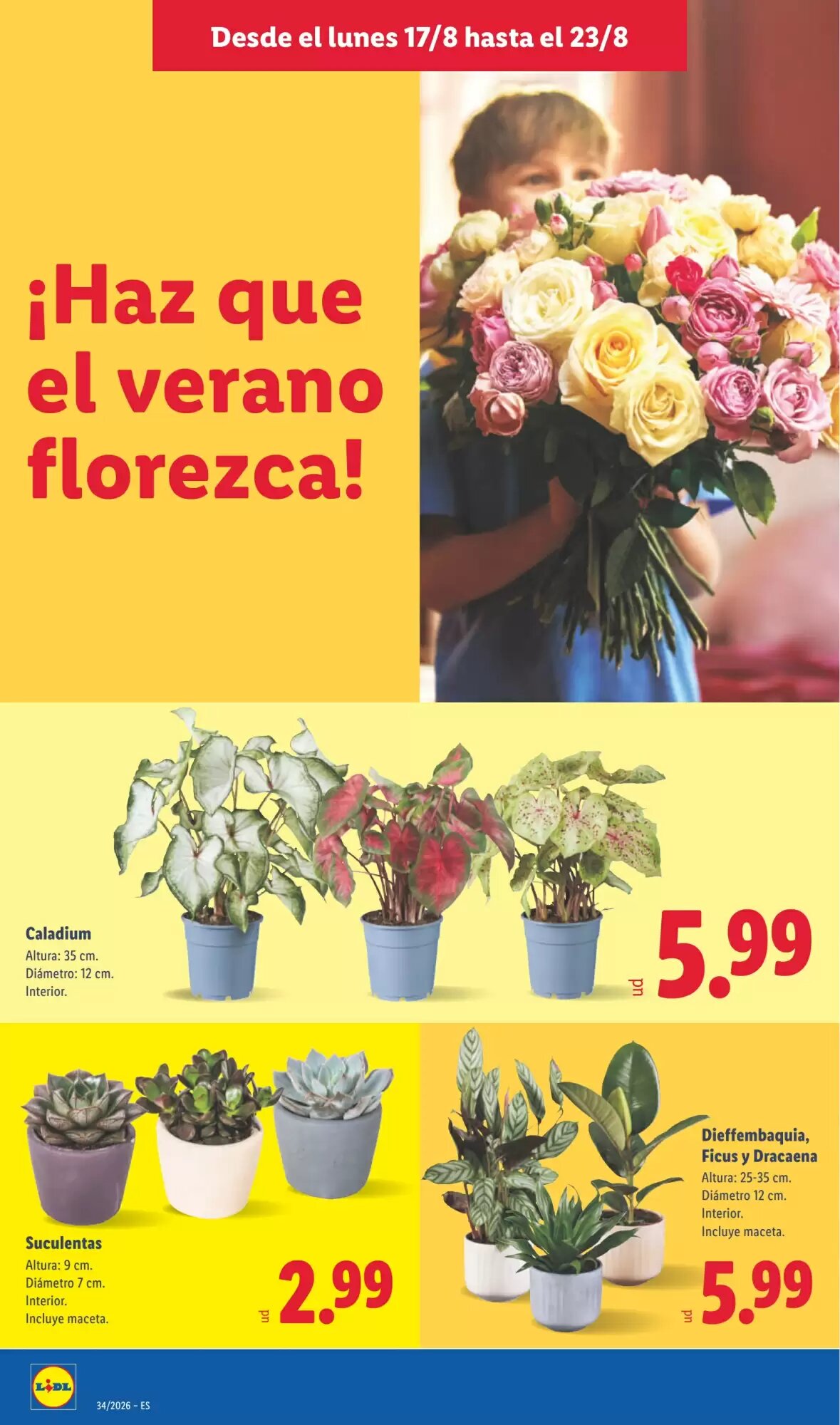 Folleto promocional de Lidl válido desde el 17/08/2026 - Página 48.