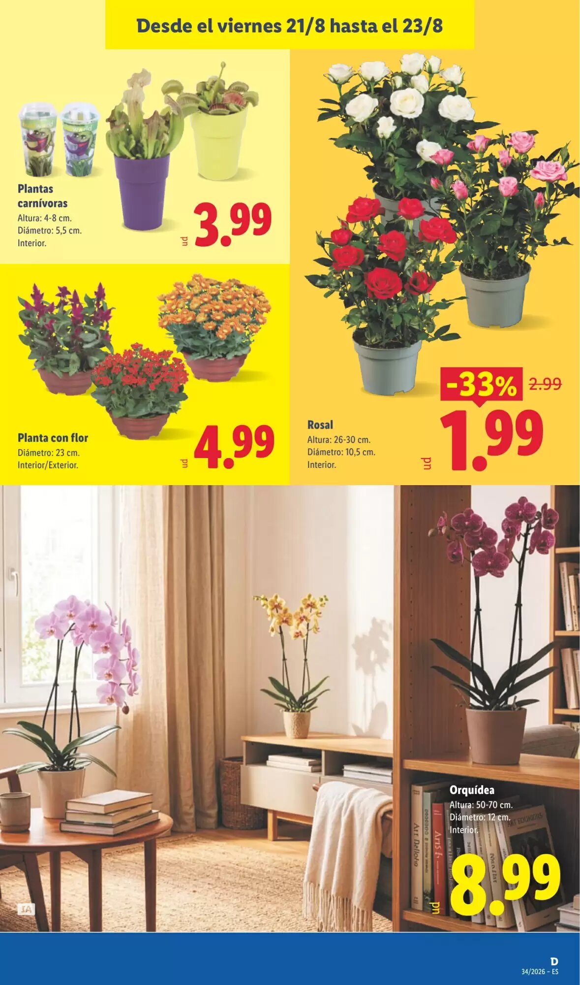 Folleto promocional de Lidl válido desde el 17/08/2026 - Página 49.