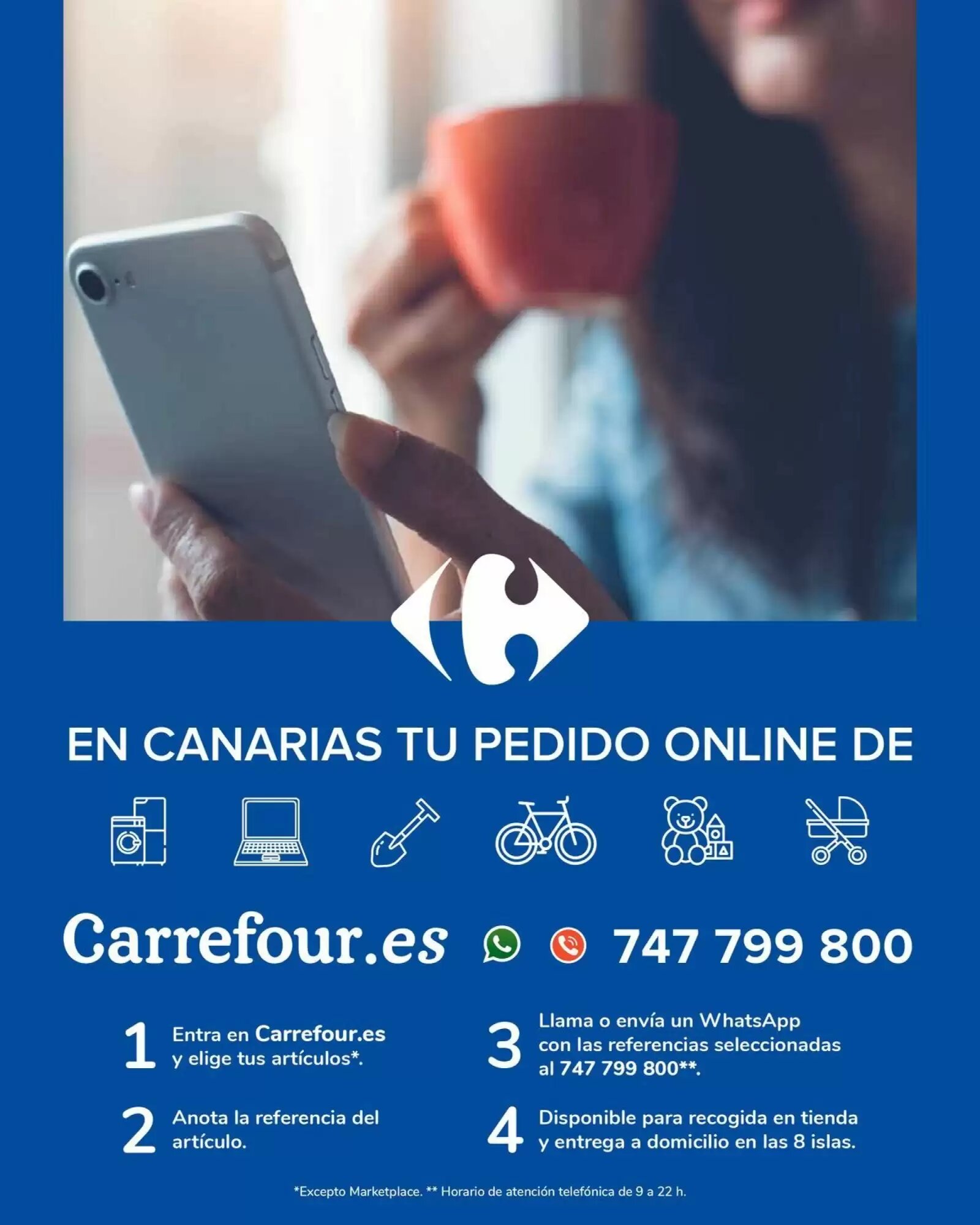 Folleto promocional de Carrefour válido desde el 18/08/2026 - Página 14.