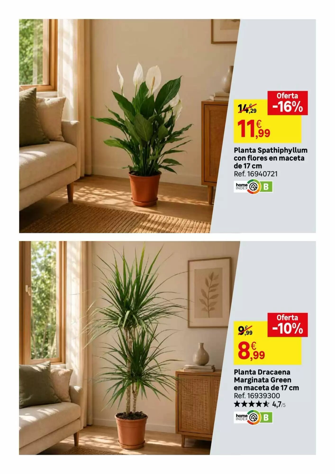 Folleto promocional de SPAR Gran Canaria válido desde el 21/08/2026 - Página 72.