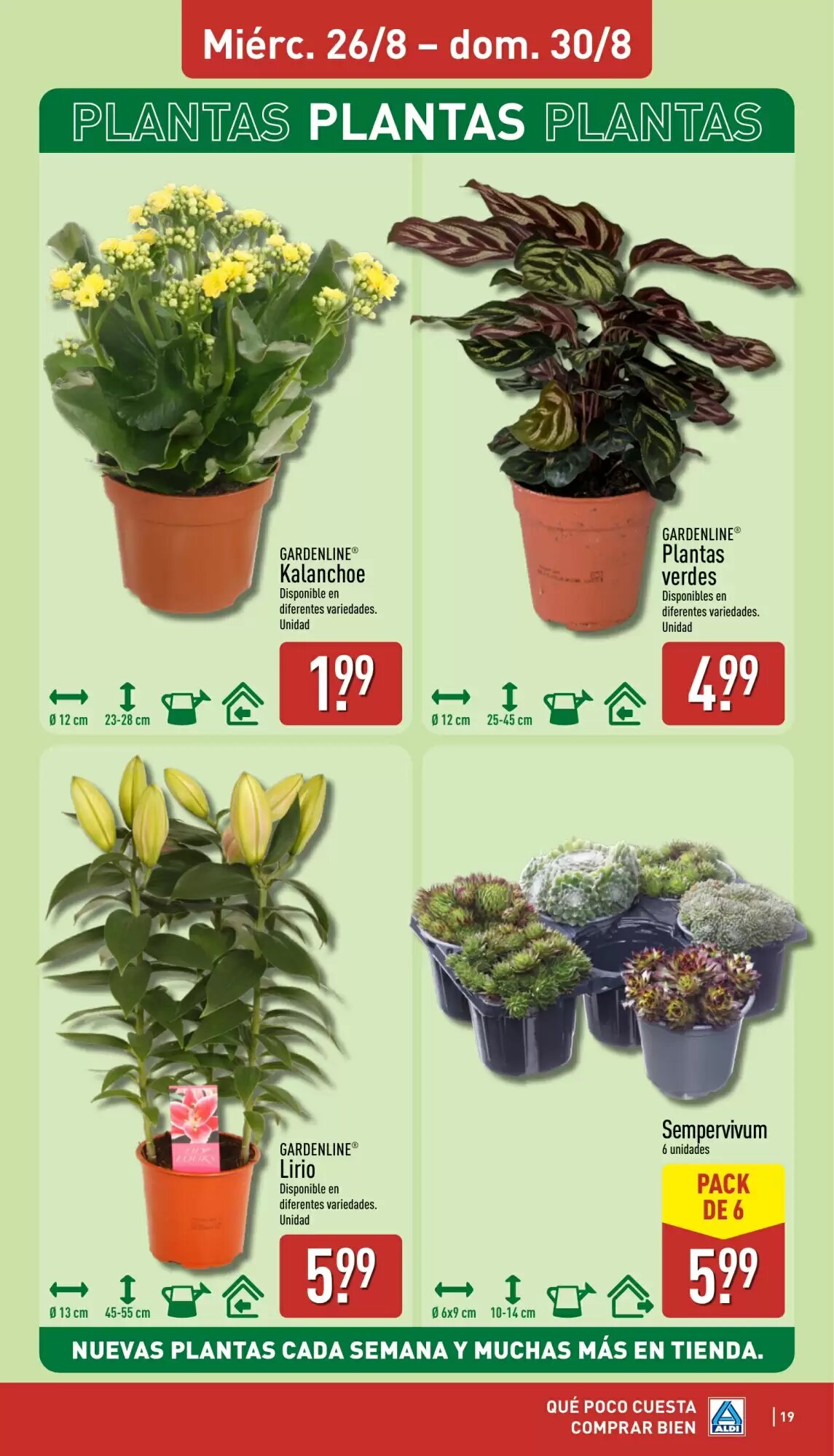 Folleto promocional de ALDI válido desde el 24/08/2026 - Página 19.