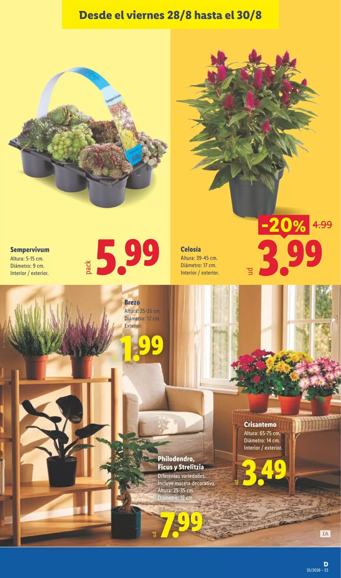 Folleto promocional de Lidl válido desde el 24/08/2026 - Página 43.