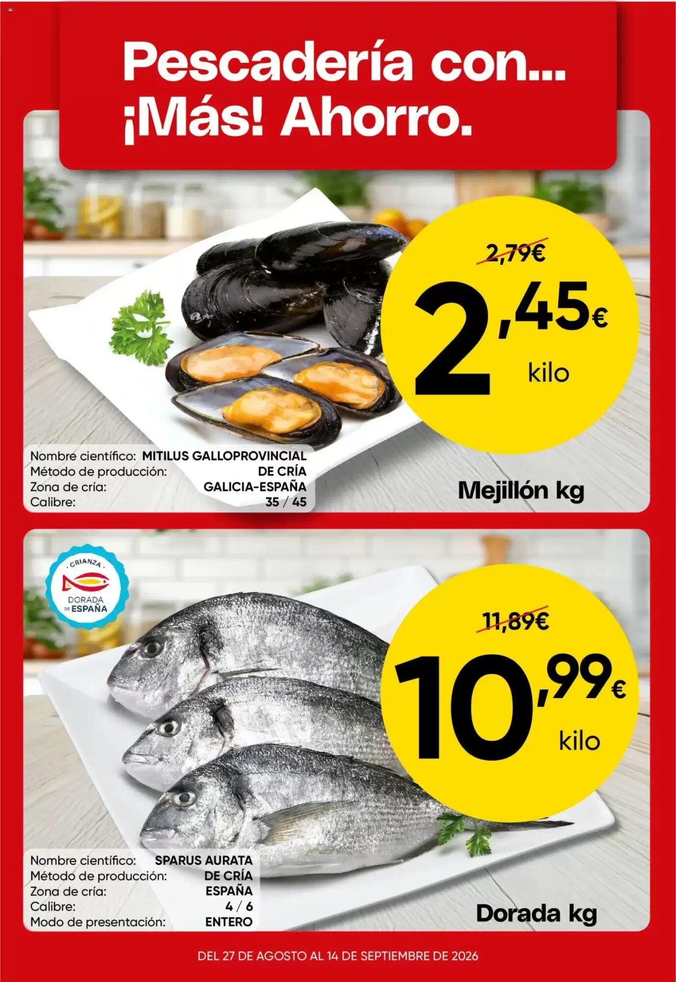 Folleto promocional de FROIZ válido desde el 31/08/2026 - Página 2.