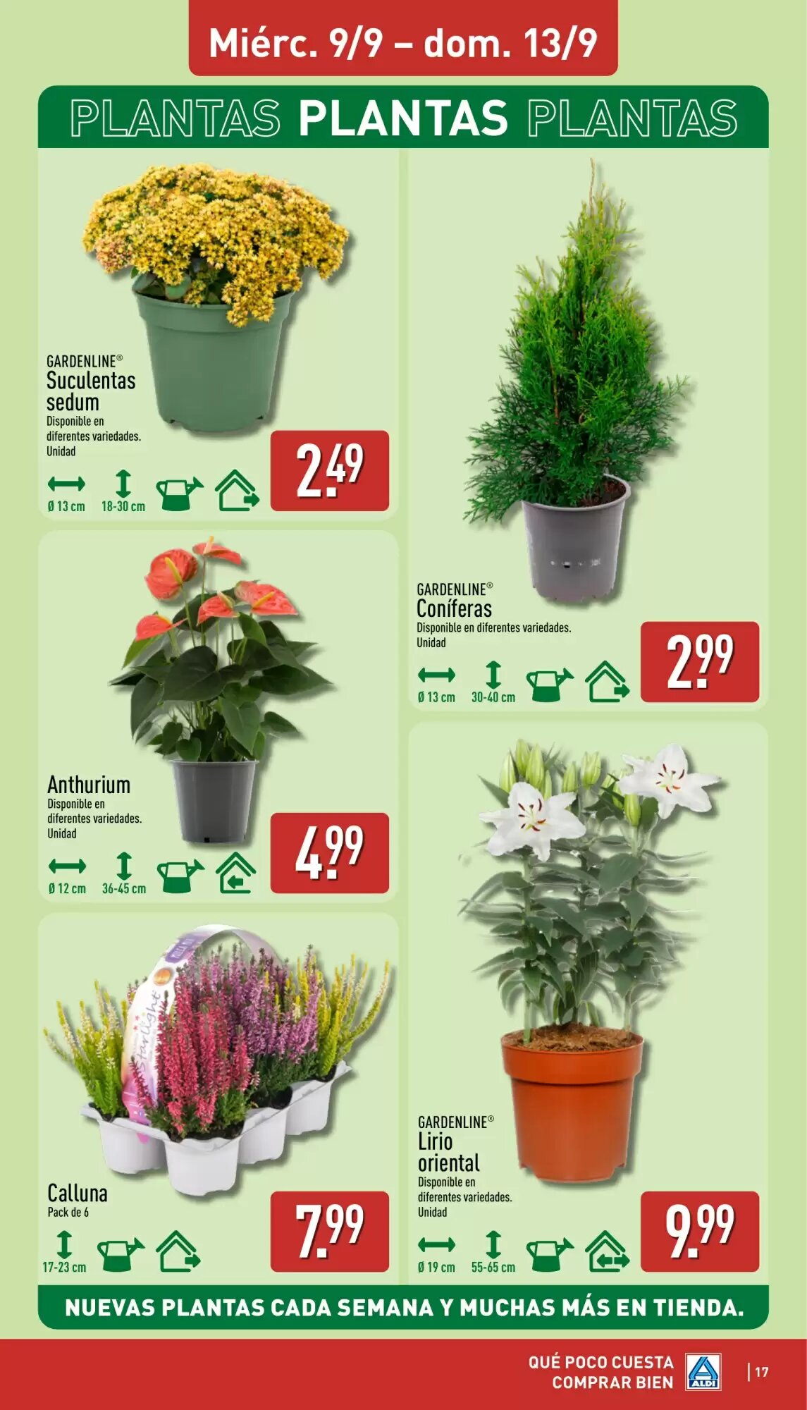 Folleto promocional de ALDI válido desde el 07/09/2026 - Página 17.