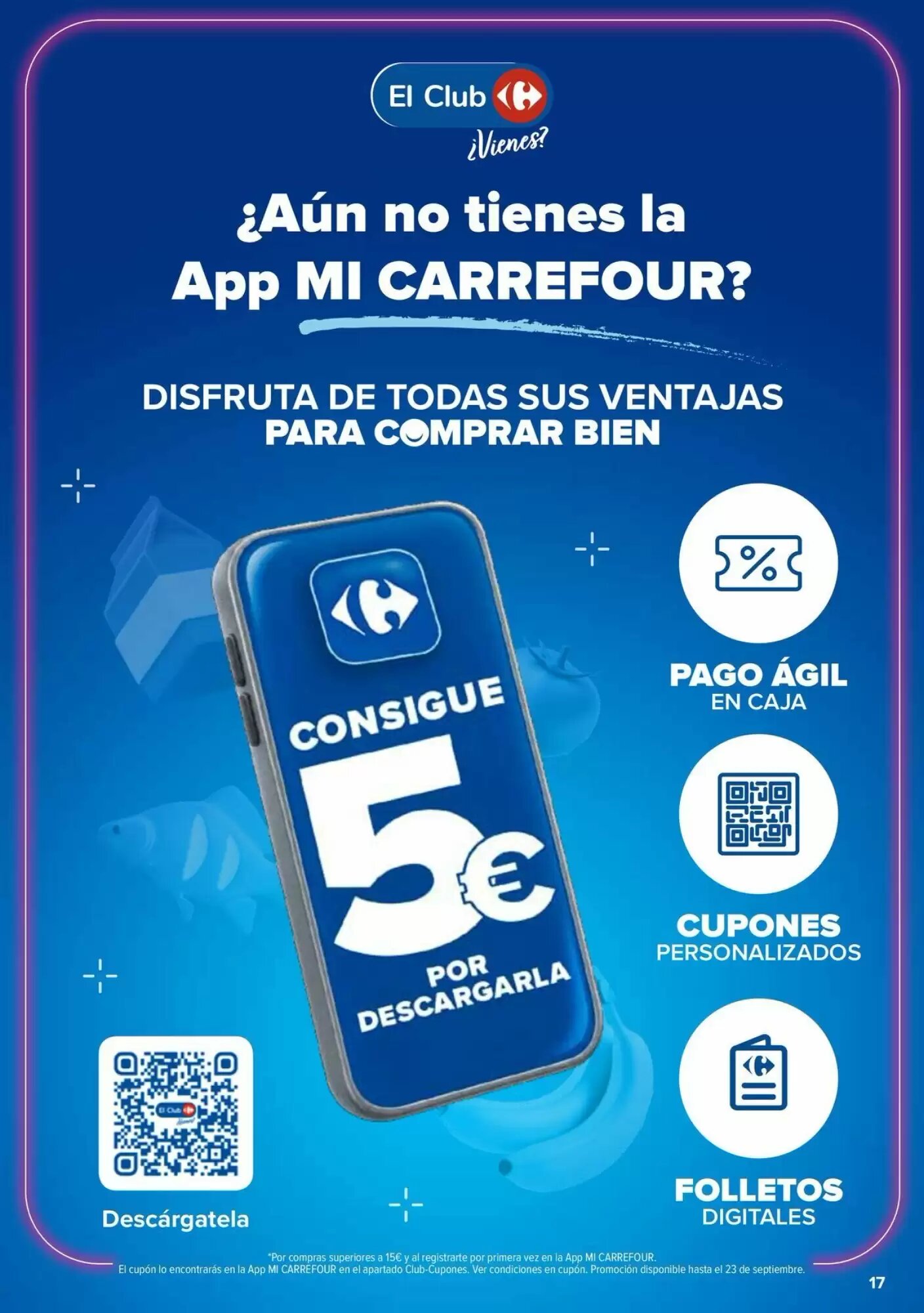 Folleto promocional de Carrefour válido desde el 10/09/2026 - Página 17.
